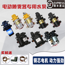 Agricultural electric sprayer special water pump high-voltage high-power 12-volt original dual-core motor cartridge motor accessories