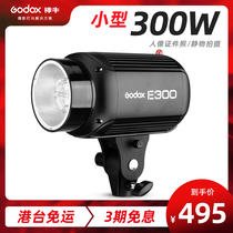 Shenniu E300 photography flash small studio Studio placed Still Life portrait 300W soft light photography lamp