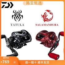 Da 100 million WDAIWA black spider fire lizard drop wheel Lutheran Micromatter far from the magnetic brake to hit the black fish wire wheel