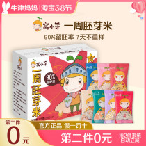 Nest buds for a week germ rice cereal rice cooking porridge Wugu coarse grain quinoa millet baby main food 7 days not important