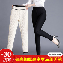 Extra-thick Lamb Suede Beating Bottom Pants Woman Winter Plus Suede Thickening Integrated Pants Outside Wearing High Waist Northeast Silk Warm Cotton Pants