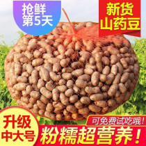 Yam bean fresh 2018 iron bar zero more than son huai huai