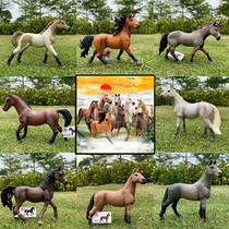 High quality Malaysia model toys children simulation wildlife farm eight horses solid Wanma Pentium ornaments