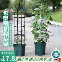 European garden climbing cane frame covered plastic iron pipe flower bracket plant climbing vine shelf balcony clematis rose flower stand