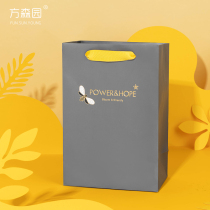 Fang Senyuan gift bag ins style Boy bag senior high-end birthday portable gift bag large gift bag