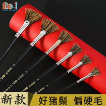 S519 South platinum million black hair wild pig bristles Fan Pen water chalk single hard hair brush set paint paint pen brush beginner art student art exam special brush