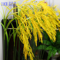 Hot Selling Special Long Emulation Rice Cereal Wheat Ears Fake Rice Wheat Wheat Fields Garden Decorations Placement Plastic Flower Silk Flowers Flowers Flowers Flowers Flowers Flowers Flowers Flowers Flowers Flowers Flowers Flowers Flowers Flowers Flowers Flowers Flowers Flowers Flowers Flowers Flowers Flowers Flowers Flowers Flowers Flowers Flowers