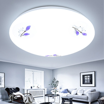 Limited time special LED round shape Living room Balcony Bedroom room Dining room Kitchen and bathroom ceiling lamp Warm aisle Corridor