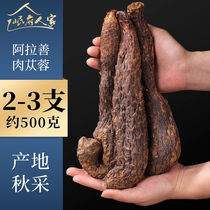 Cistanche deserticola Special 500g Wine Wine tea male Epimedium Alashan Cynomorium Chinese herbal medicine Epimedium