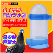 Pigeon drinking fountain King size water bowl Large drink bottle Self-service water tank Feeder with automatic nest nest bird