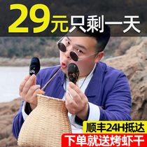 Fresh Green mouth shellfish fresh mussels conch meat shellfish snails sea red Zhoushan seafood aquatic products