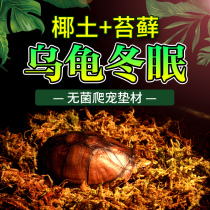 Turtle hibernation supplies Brazilian tortoise crawl pet coconut brick winter sand reptile box pet mat warm soil Moss