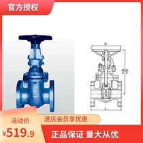 Emiko 6196B cast iron bright rod flange gate valve DN50---DN300 copper core open rod Z41T-16