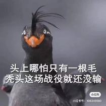 three thousand texas always have the right fit for you.