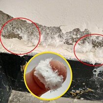 Interior walls waterproof and anti-alkali moisture-proof repair wall Foaming Dewall Sticking Interior Wall wall Hair Tide Shedding Raw Hair Mouldy