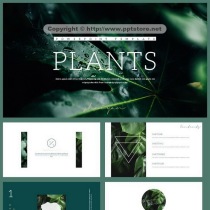 (Green) Simple business work report PPT template 01 scheme dark green atmosphere general PPT Template