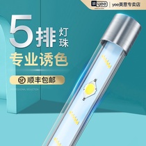 Fish tank lamp led lamp waterproof lighting lamp Super bright Arowana three primary colors Zeng Yan color aquarium waterproof diving lamp