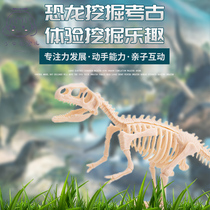 Dinosaur Fossil Archaeology Excavation Toy Handmade Diy Jurassic Bulky Wang Dragon Skeleton Assembly Model Childrens Gifts