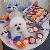 Small dogs cant miss the special cute ~ Taiwan Amy Carol Big Ears series plush vocal toys