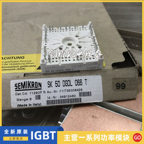 SK50DGDL126T SK50DGDL12T4T SK50DGDL066T SK25DGDL065E SK15DGD