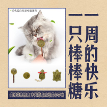 Catnip lollipop wooden Polygonum ball cat snacks to tease the taste buds of cats at any time