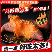 Shandong Smoke Potato No. 25 Sugar Heart Sweet Potato Sweet Potato Sweet Potato Fresh Self-Growing Roasted Sweet Potato Sweet Potato Academy of Agricultural Sciences Nutrition Coarse Grain