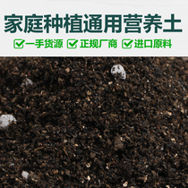 Nutrient soil fleshy flower fertilizer Peat seedling flower cultivation Universal flower soil fertilizer Large package green dill pot gardening soil