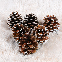 Christmas Tree Decorations Pendant Pine Nuts Christmas Creativity Pendulum items Snow Sky Pine Fruit Ornaments A Pack of 6