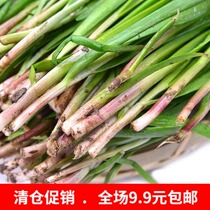 100 grain original vegetable flower seed green plant potted balcony planting vegetable purple root leek