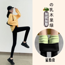 Shark pants leather bottom wear autumn and winter plus velvet Barbie pants elastic lift waist belly slender leg pressure yoga big