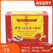 Imported big fish Japanese Yellow Powder Tropical Fish Koi bacterial disease rotten tail rotten Gill enteritis