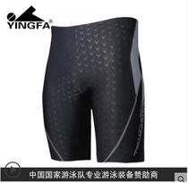 British Hair Swimsuit Pants Men 50% Speed Dry Big Code Swim Pants Spa Flat Corner Professional Imitation Shark Leather Swimsuit Adults