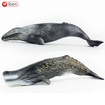 Simulation marine life whale model Large sperm whale Gray whale Plastic boys and girls toys gift cognitive ornaments
