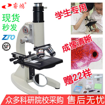Ruihong Microscope Junior High School Students Professional Biology High 2500 Times Scientific Experiment Set 5000B