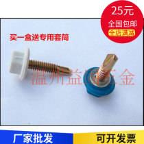 Drilling tail screw nylon head waterproof cap dovetail silk plastic screw cap color steel tile tail wire with cap self-drilling silk