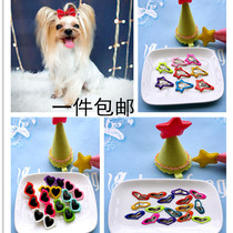 10 mini pets BB clamp drop loving clips pooch Cards Teddy Ornament Yorkshire Cat headwear