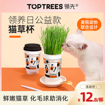 Toptrees leading cat grass hydroponic catnip soil planting set wheat seed cat hair