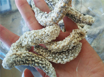 Sea Cucumber Thorn of the pregnant woman for the month of 250g dress