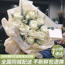 Shenzhen Flowers Express City Distribution Real Flower White Rose Bouquet Guangzhou Foshan Dongguan Huizhou Birthday Flower Shop