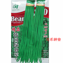 Green strips long beans seeds seeds green strips cowpea seeds high yield early maturity spring sown vegetables