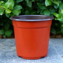 Thickened bicolor basin disposable simple plastic increase flower pot seedling basin Multi-meat flower pot cuttage pot transplanting potted plants