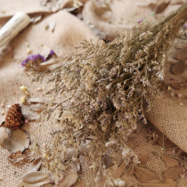 Valentines grass dry flower Living Room restaurant flower arrangement auxiliary material pastoral home decoration flower diy place bouquet