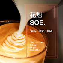 Lou Lou Coffee Ethiopian Easeri SOE Coffee Bean Deep Fresh Roast 500g