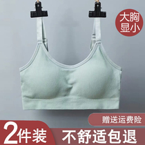 Big chest shows small bra ultra-thin no steel ring gathered sexy back bra breast shrink size fat mm ladies underwear