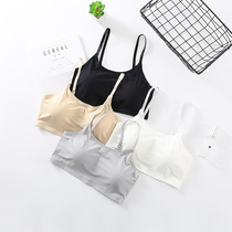 Harness Vest Big Code Ice Silk Without Mark With Mesh Underwear Poly Beauty Vest Bra No Steel Ring Fat mm200 Catty