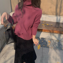 From a soft cotton high collar raccoon caffodia female sweater female loose outside wearing a lazy wind knit blouse short