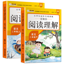 Sophomore language upper and lower volumes Read comprehension special training book Primary school childrens childrens part of the synchronized practice register