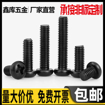 304 stainless steel plated black round head cross gong nail lengthened pan head machine wire M6*50x60x70x80x90x100