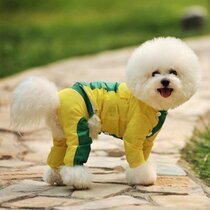 Unpet Bao Dependents Pet Raincoat teddy Bears Spring and Autumn Anti-snow Rain Koki Fou Doggy Raincoat Suit Suit