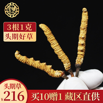 (Treasure Domain) Yushu Cordyceps Sinensis 3 grams Wild Cordyceps Sinensis Finaqu Gift Box East 1 gram 3 roots